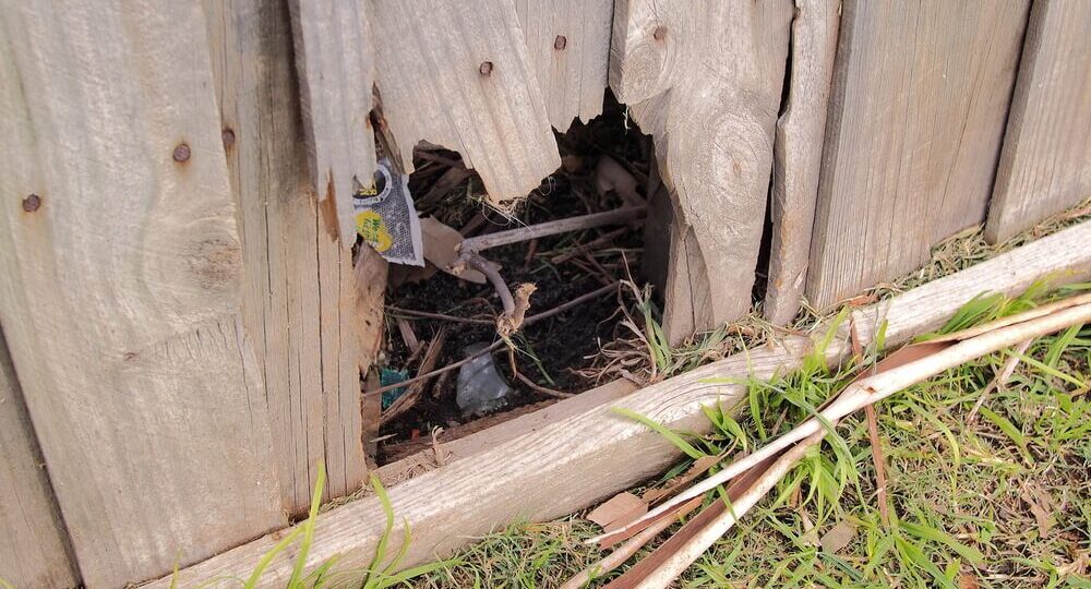 Animal Fence Damage